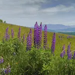 Ferienhaus Josef - Idyllisches Blockhaus, Barrierefrei, Zwischen Den Seen