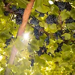 Josef - Idyllisches Blockhaus, Barrierefrei, Zwischen Den Seen Ferienhaus