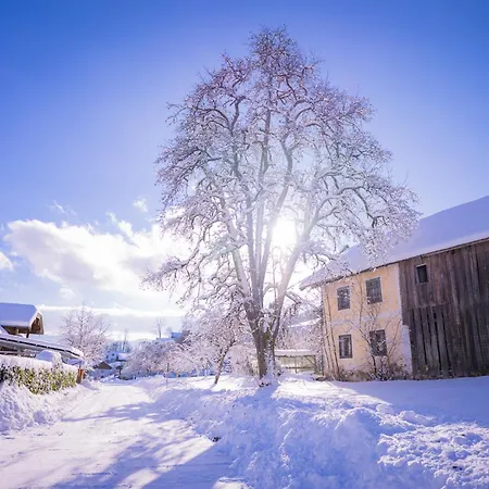 Prázdninový dům Josef - Idyllisches Blockhaus, Barrierefrei, Zwischen Den Seen