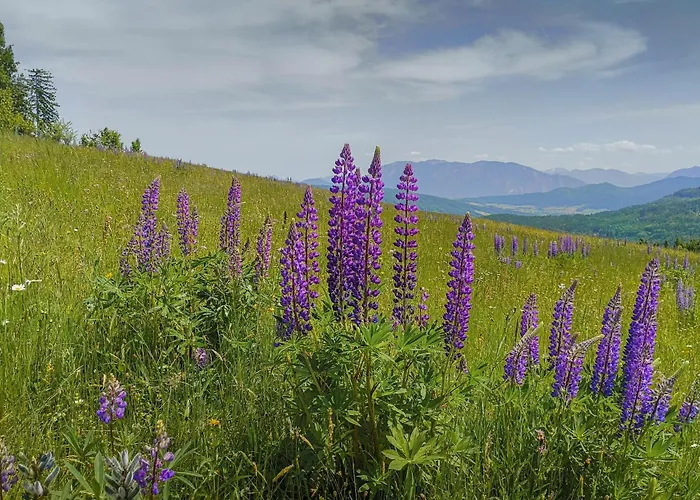 Prázdninový dům Josef - Idyllisches Blockhaus, Barrierefrei, Zwischen Den Seen