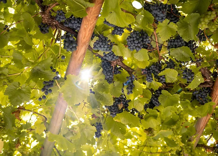 Josef - Idyllisches Blockhaus, Barrierefrei, Zwischen Den Seen Feriehus