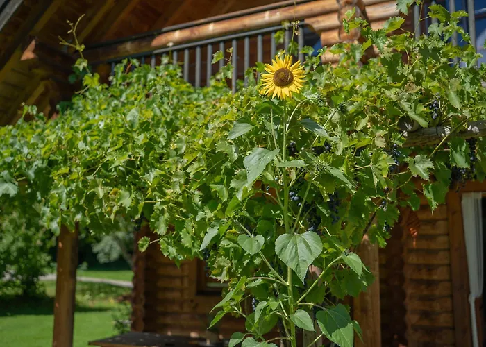 Josef - Idyllisches Blockhaus, Barrierefrei, Zwischen Den Seen Oberwang
