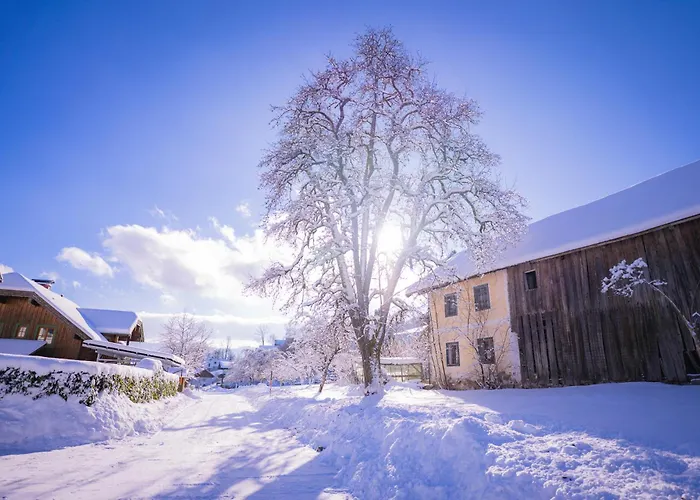 Feriehus Josef - Idyllisches Blockhaus, Barrierefrei, Zwischen Den Seen